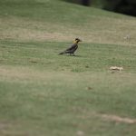 IMG_0724