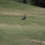 IMG_0725