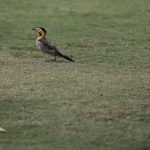 IMG_0728