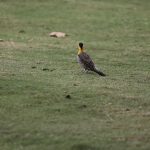 IMG_0729