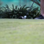 IMG_1192