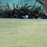 IMG_1193