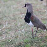 IMG_1361