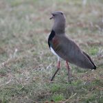IMG_1363