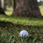 IMG_6327