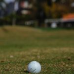 IMG_6334