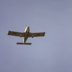 IMG_8331