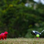 IMG_9103