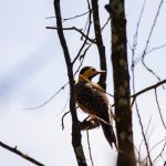 IMG_9151