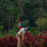 IMG_0840