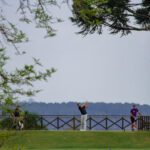 IMG_3516