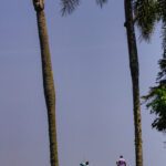 IMG_4612