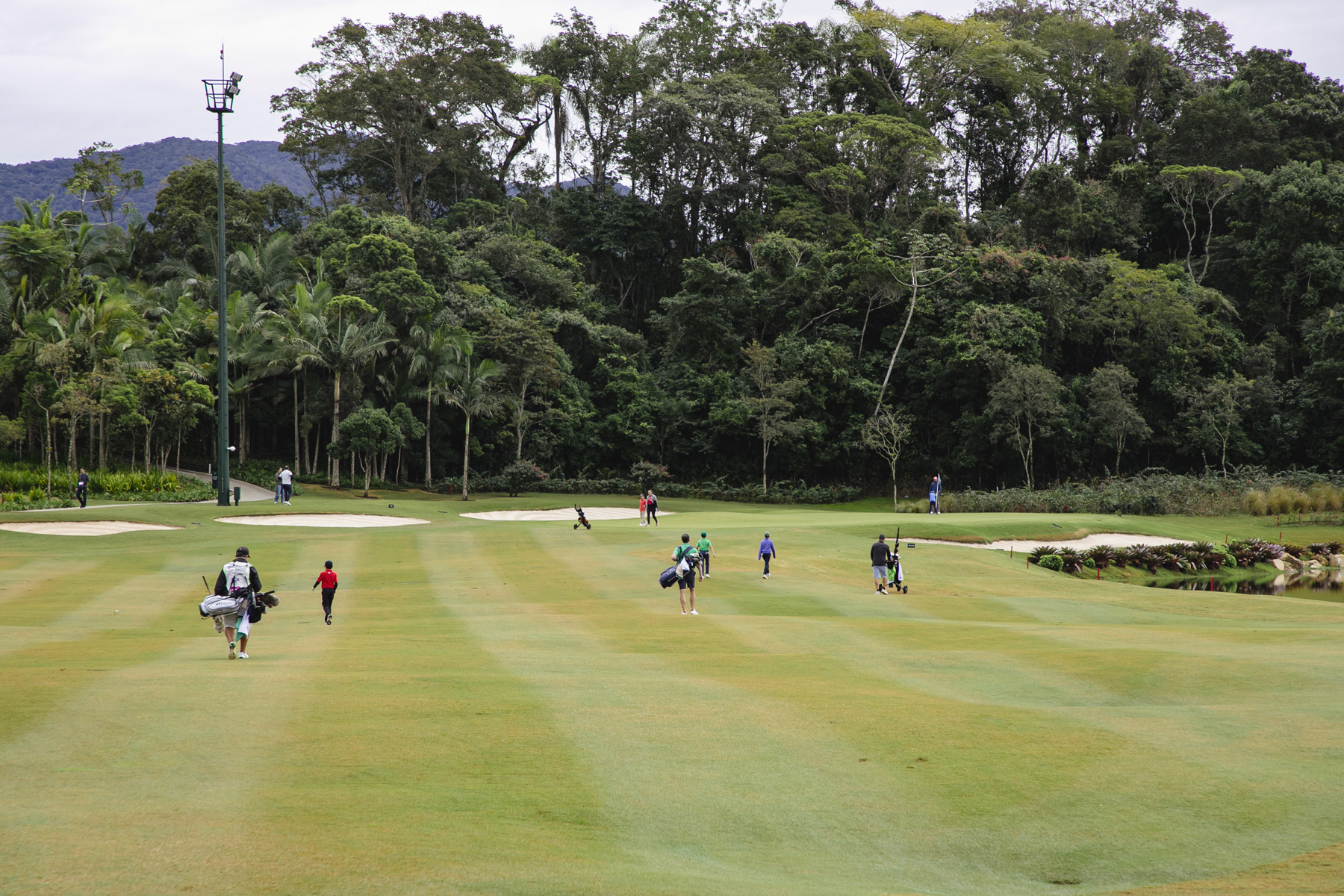 IMG_1264